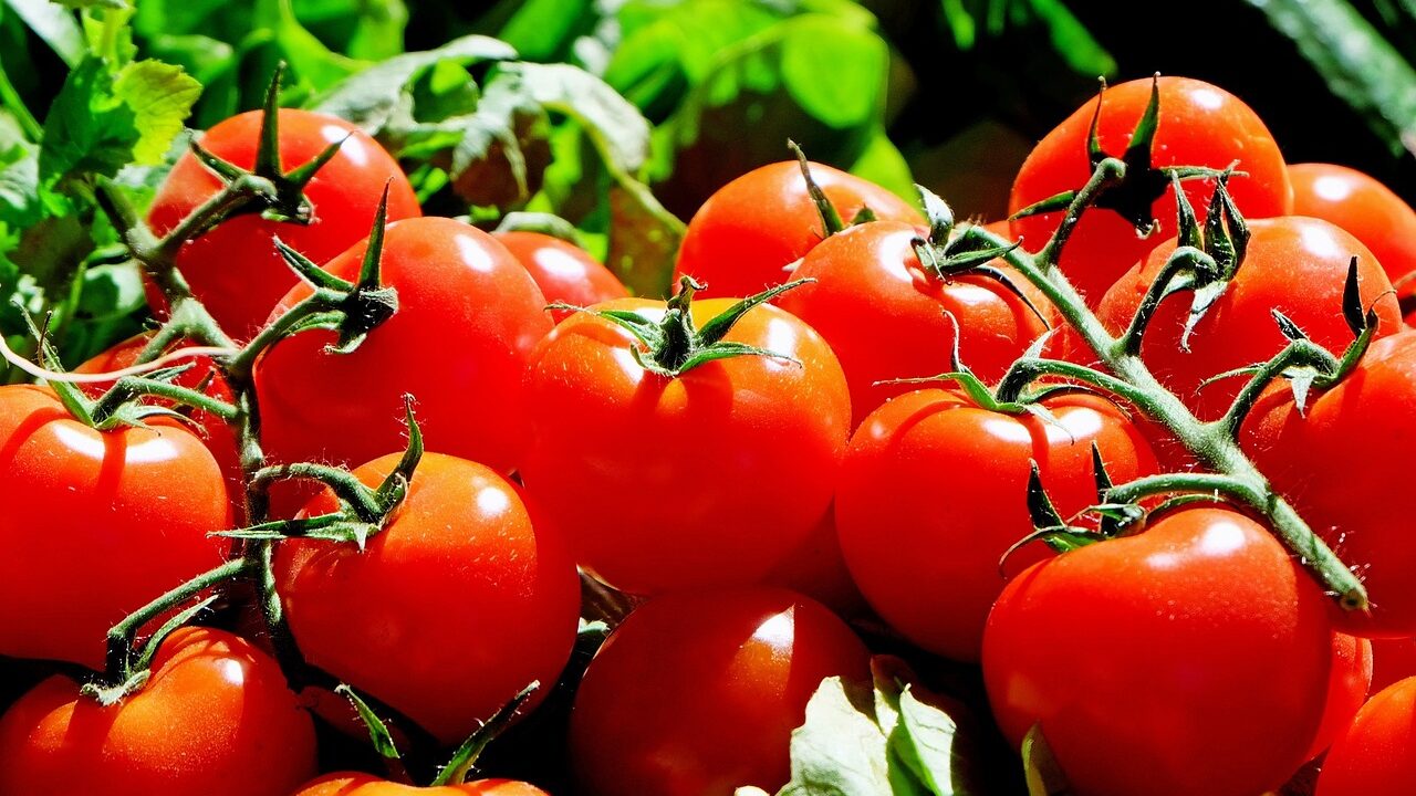 Im Winter solltest du lieber auf getrocknete Bio-Tomaten aus regionaler Herstellung oder auf regionale bzw. sogar selbst gemachte, passierte Tomatensaucen zurückgreifen. Fotocredit: © IlonaF via Pixabay