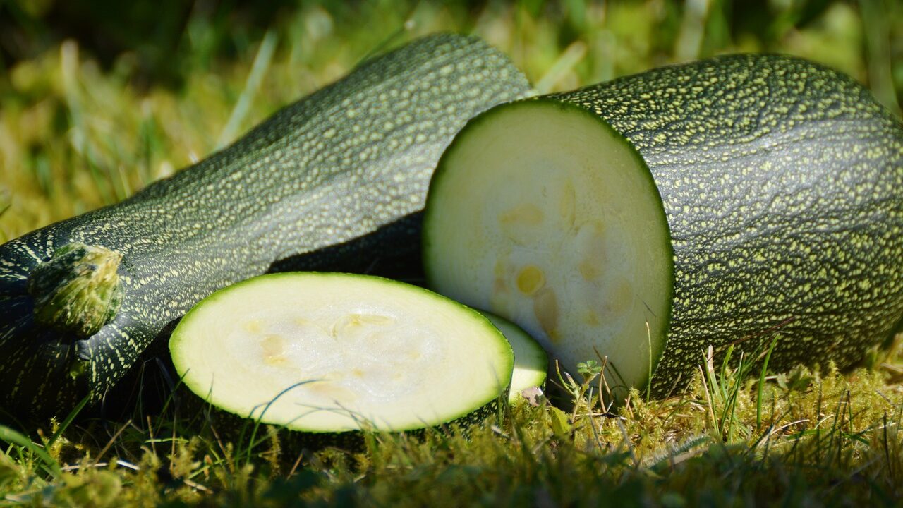 Jetzt ist nicht ihre Zeit. Warum im Winter zum Kürbisgewächs „Zucchini“ greifen, wenn es doch Kürbisse gibt, die bei uns gerade jetzt Saison haben? Fotocredit: © congerdesign via Pixabay