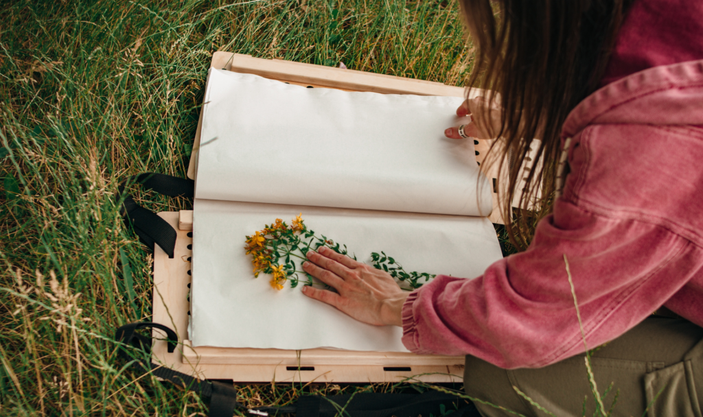 Ein Herbarium ist schnell angelegt – aber es braucht auch Geduld. Fotocredit: © Olia Nayda/Unsplash