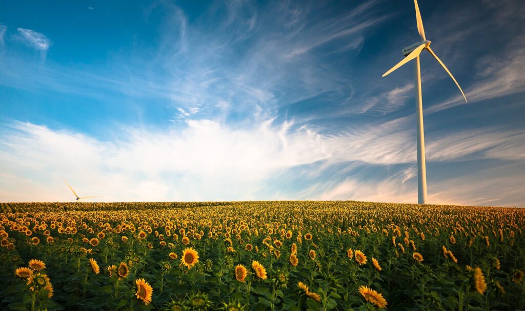 Windkraft spielt eine bedeutende Rolle im Hinblick auf saubere Energie in Deutschland. Fotocredit: © Pexels/Pixabay