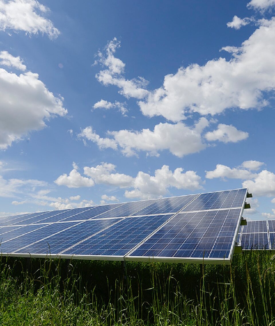 Der größte Energieversorger des Landes investiert weit über eine Milliarde Euro in die städtische Energiezukunft. Im Bild: Das BürgerInnen-Solarkraftwerk in der Wiener Rosiwalgasse. Fotocredit: © Wien Energie/Wiener Wildnis - Popp-Hackner