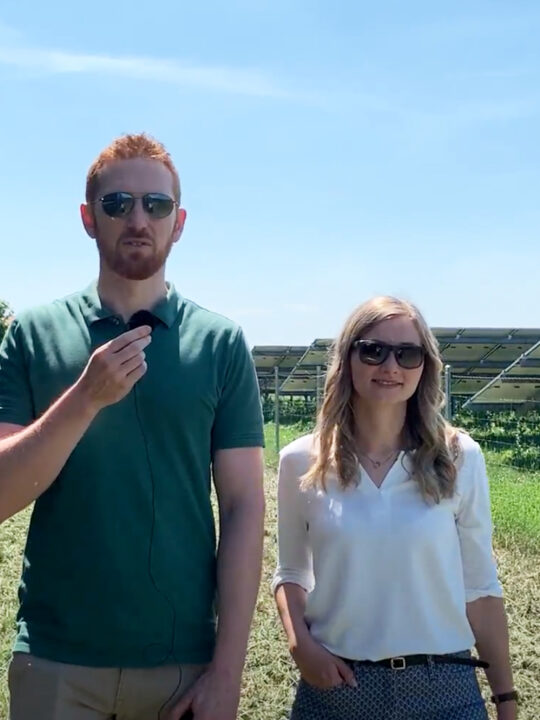 Bei strahlend blauem Himmel spazieren unsere Profis Julia und Ernst mit uns zwischen den Solarmodulen und erklären, was es mit der Agrar-PV auf sich hat.