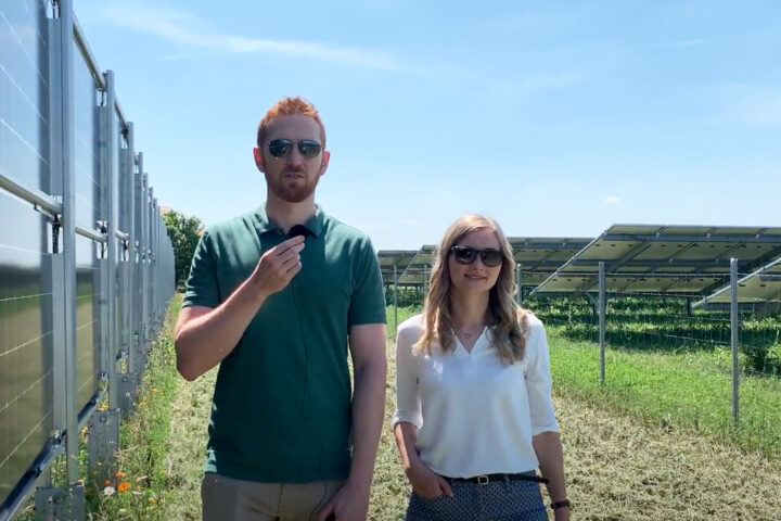 Bei strahlend blauem Himmel spazieren unsere Profis Julia und Ernst mit uns zwischen den Solarmodulen und erklären, was es mit der Agrar-PV auf sich hat.