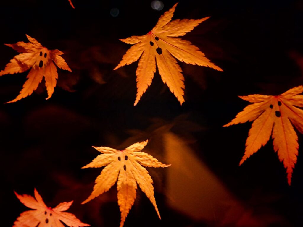 Blättergeister - Halloweendeko aus der Natur.