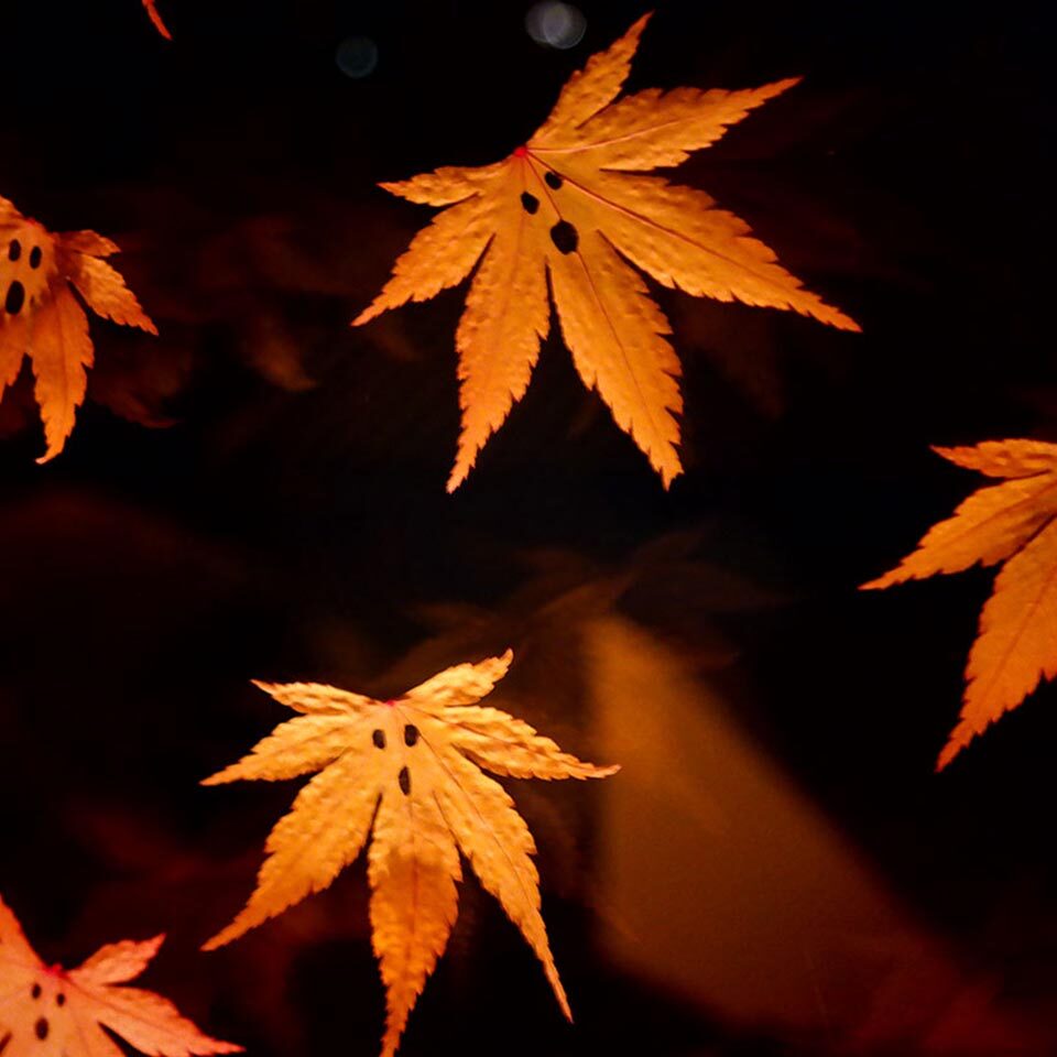 Blättergeister - Halloweendeko aus der Natur.