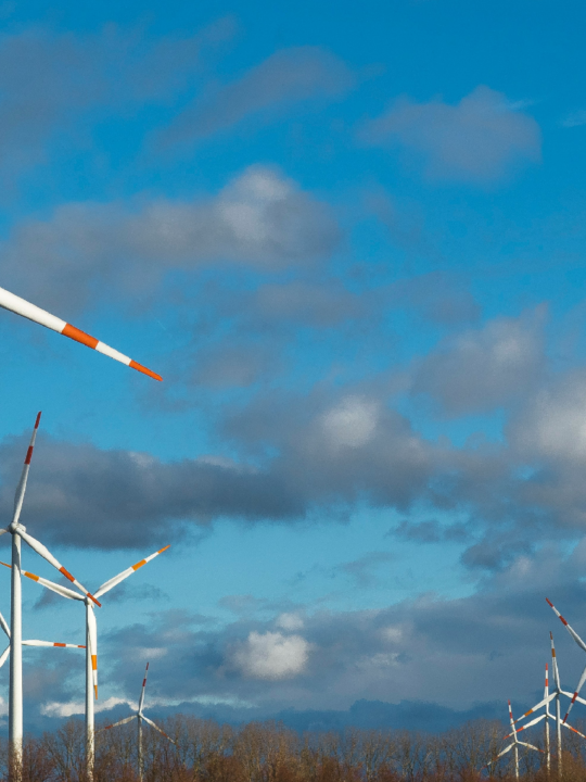 Der Windkraftrekord ist auch dem Trend zu verdanken, dass Windanlagen immer gigantischere Ausmaße annehmen. Fotocredit: © Etienne Girardet/Unsplash