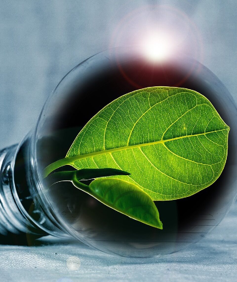 Rhein-Hunsrück ist der Vorzeige-Verbund, wenn es darum geht, grüne Energieziele zu verfolgen und nachhaltig umzusetzen. Fotocredit: © PIRO/Pixabay