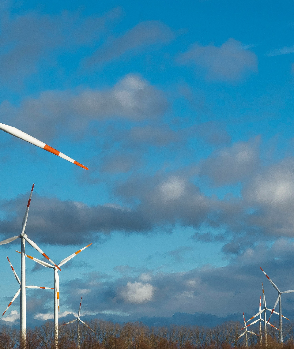 Der Windkraftrekord ist auch dem Trend zu verdanken, dass Windanlagen immer gigantischere Ausmaße annehmen. Fotocredit: © Etienne Girardet/Unsplash
