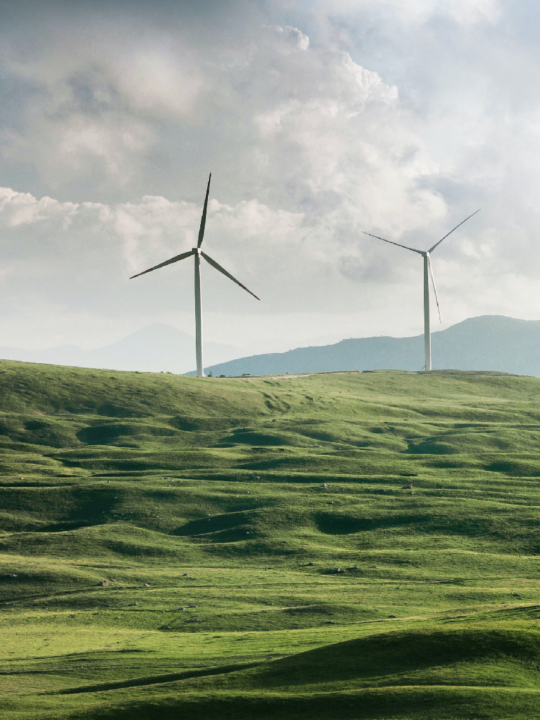 Wir machen mit euch einen Streifzug durch die Windrekorde bezüglich der Windkraft im Allgemeinen und einzelnen Anlagen im Speziellen. Fotocredit: © Appolinary Kalashnikova/Unsplash