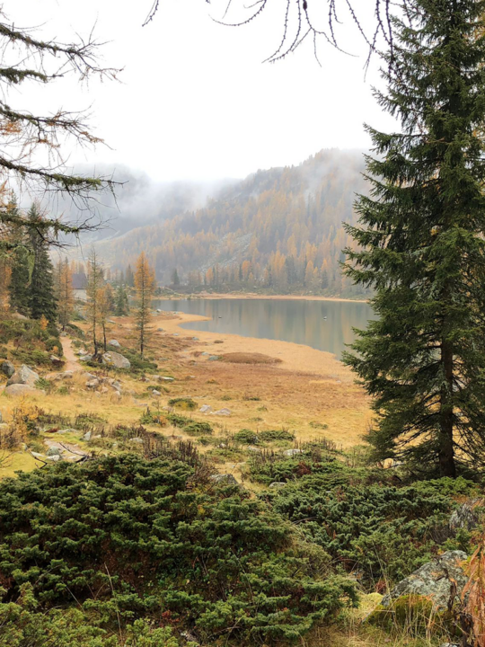 Fotocredit: Sabine Knoll | Erholung im Wald für Generationen