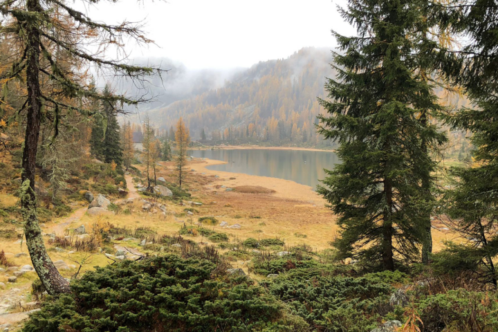 Fotocredit: Sabine Knoll | Erholung im Wald für Generationen