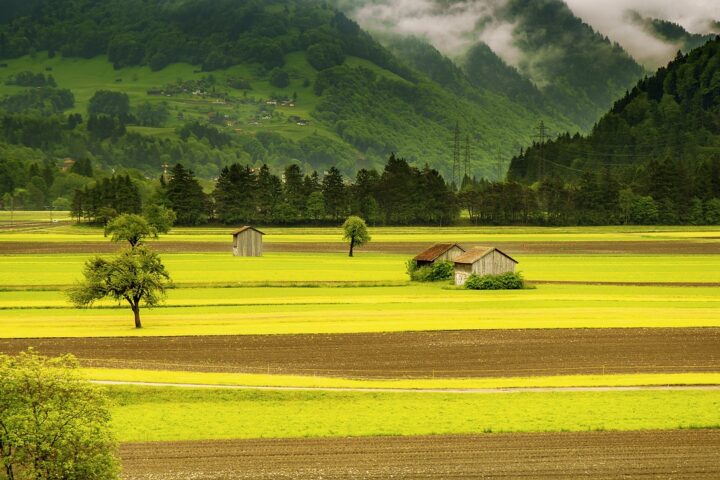 Fotocredit: Pixabay/acandraja