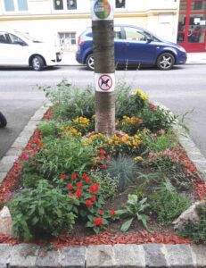 Biodiversität im urbanen Raum